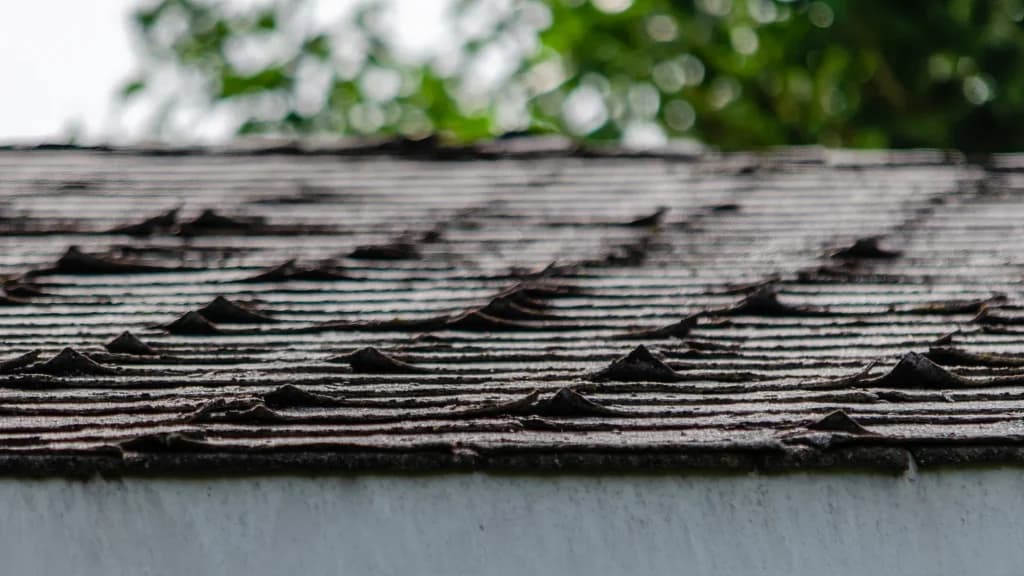 Full Asphalt Shingle Replacement — before