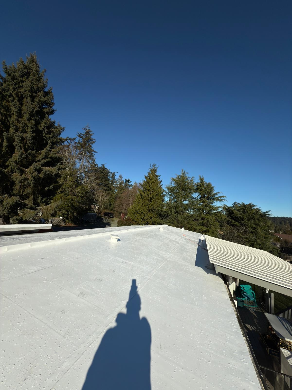 Finished white PVC roof and its roof penetrations against an evergreen tree backdrop