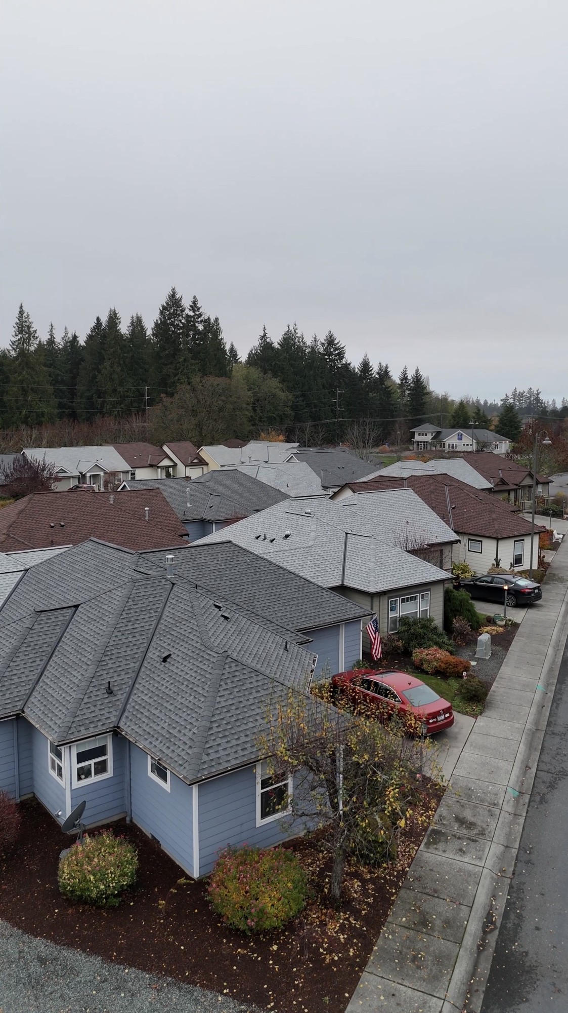 Aerial view across shingle roofs and homes at Maple Ridge in Freeland, Washington
