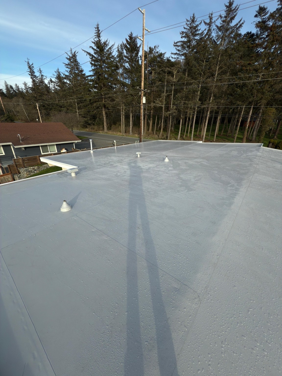 Completed gray PVC roof with flashed pipe penetrations and evergreen trees beyond