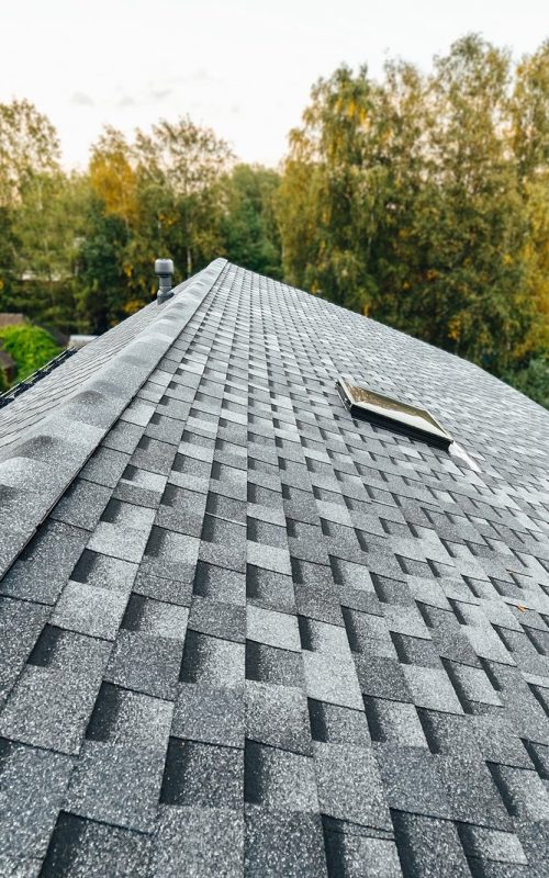 roof of new house with shingles roof-tiles, green foliage background