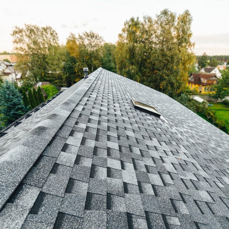 roof of new house with shingles roof-tiles, green foliage background